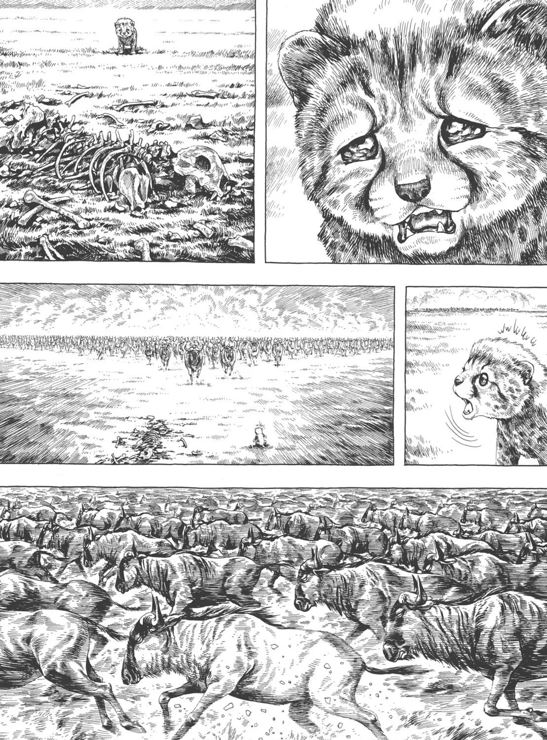 Read GON Selection chapter 4 image 8 on Lezhin