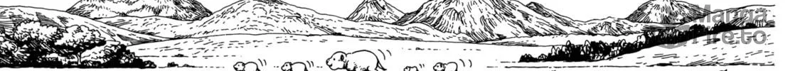 Read GON Selection chapter 5 image 11 on Lezhin