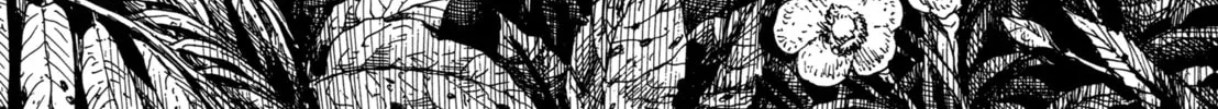 Read GON Selection chapter 5 image 33 on Lezhin