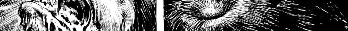 Read Gon chapter 1 image 49 on Lezhin