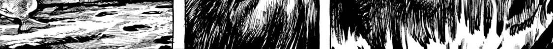 Read Gon chapter 1 image 55 on Lezhin