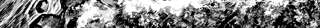 Read Gon chapter 1 image 61 on Lezhin