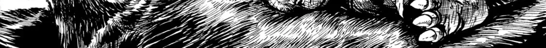 Read Gon chapter 1 image 63 on Lezhin