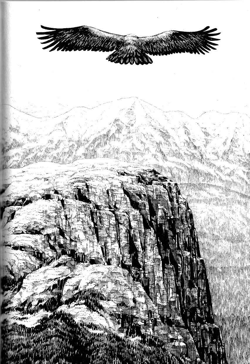 Read Gon chapter 4 image 1 on Lezhin
