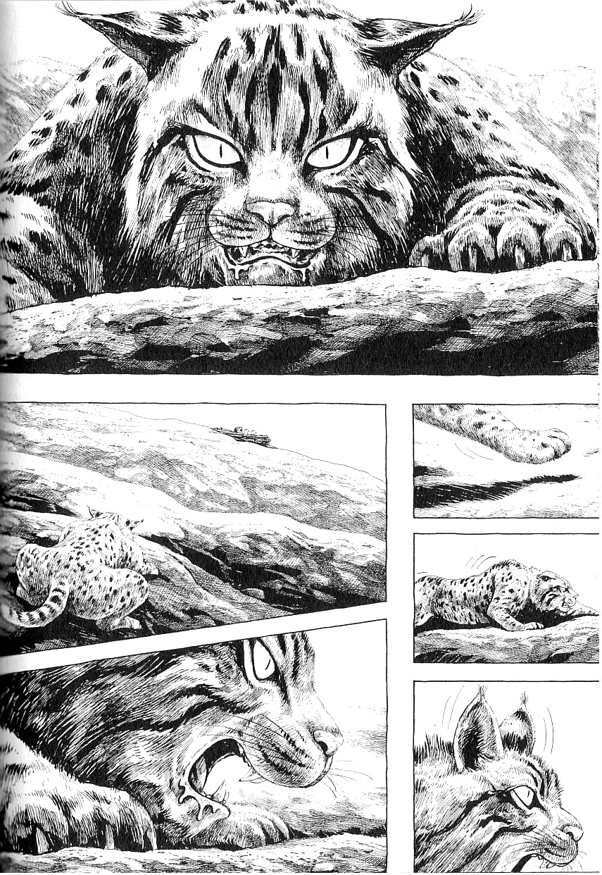 Read Gon chapter 4 image 6 on Lezhin