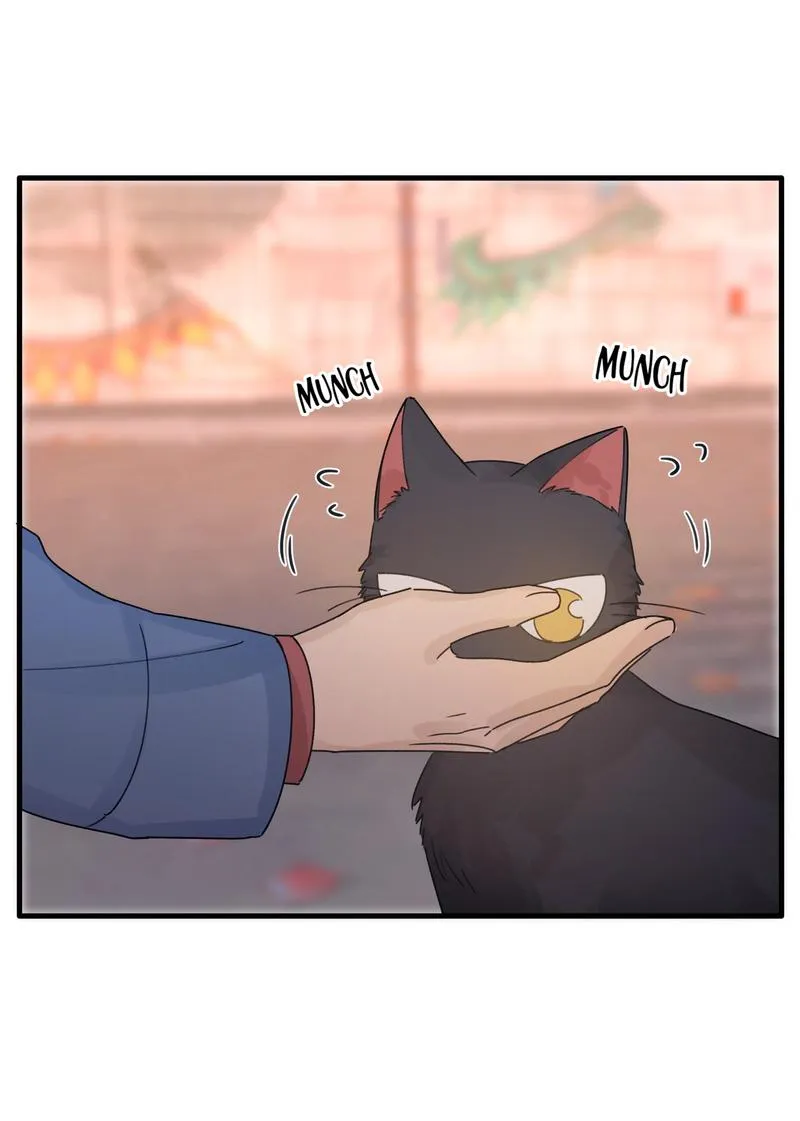 Read Gone with the Wind chapter 33 image 9 on Lezhin