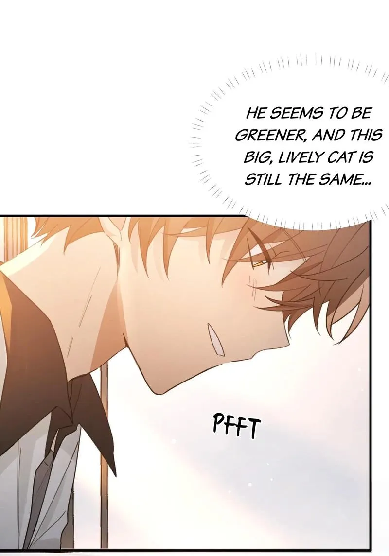 Read Gone with the Wind chapter 46 image 35 on Lezhin