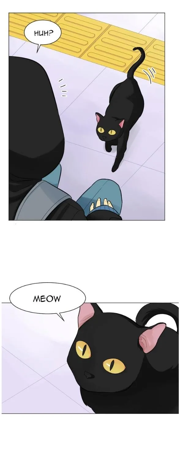 Read GOOD/BAD FORTUNE chapter 1 image 3 on Lezhin
