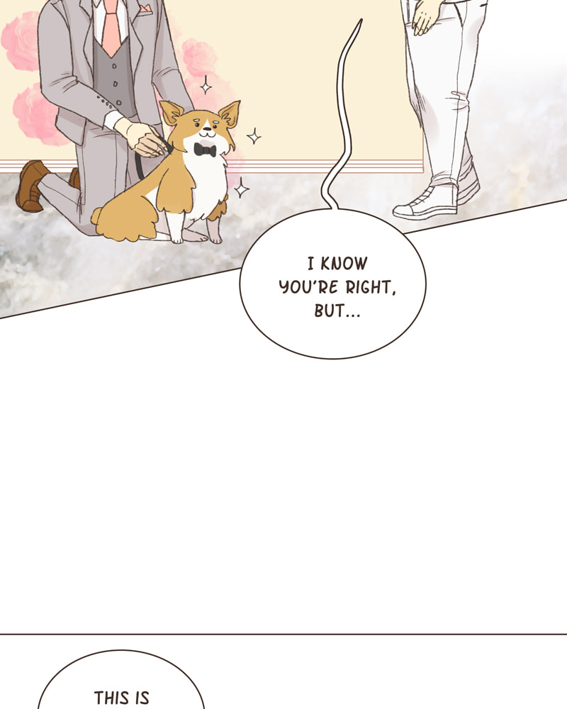 Gourmet Hound Chapter 28 page 19 - 