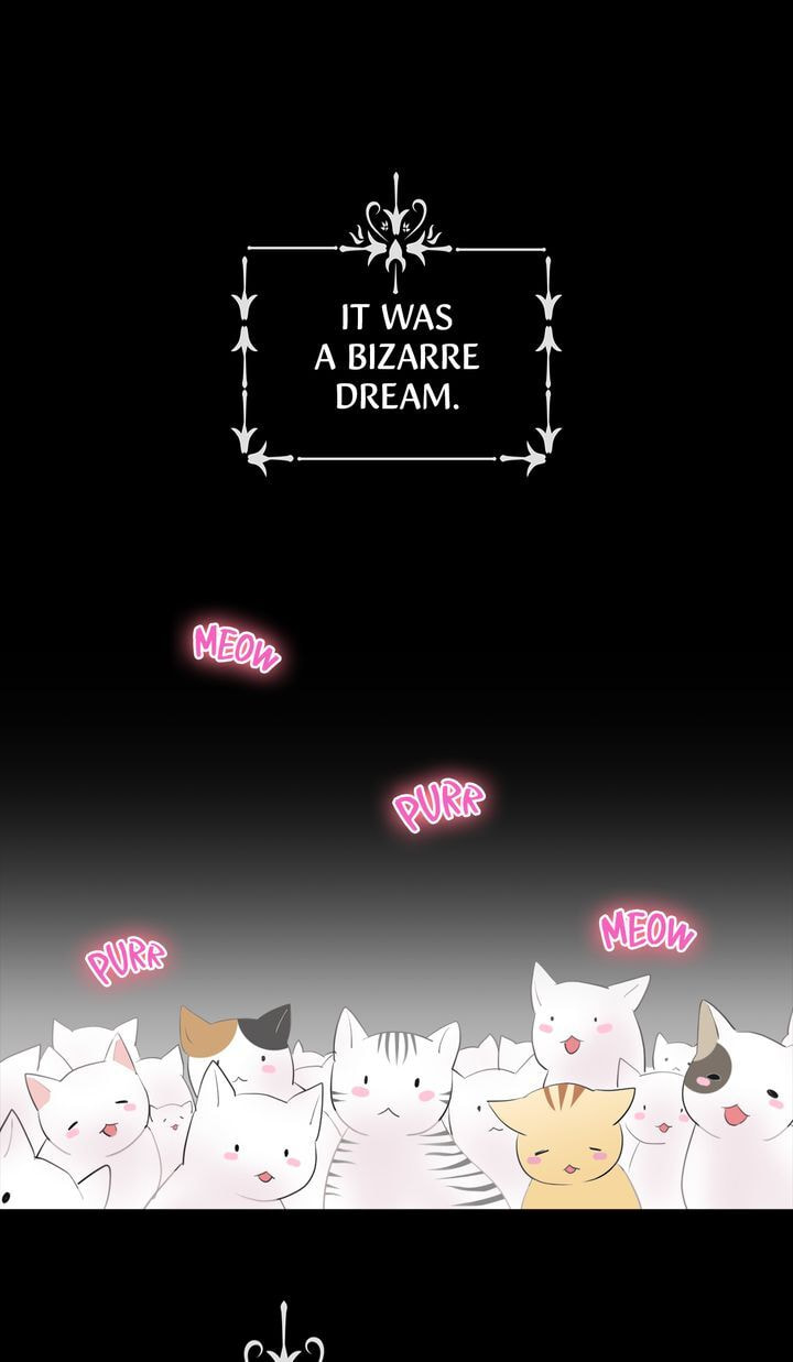 Read Cat