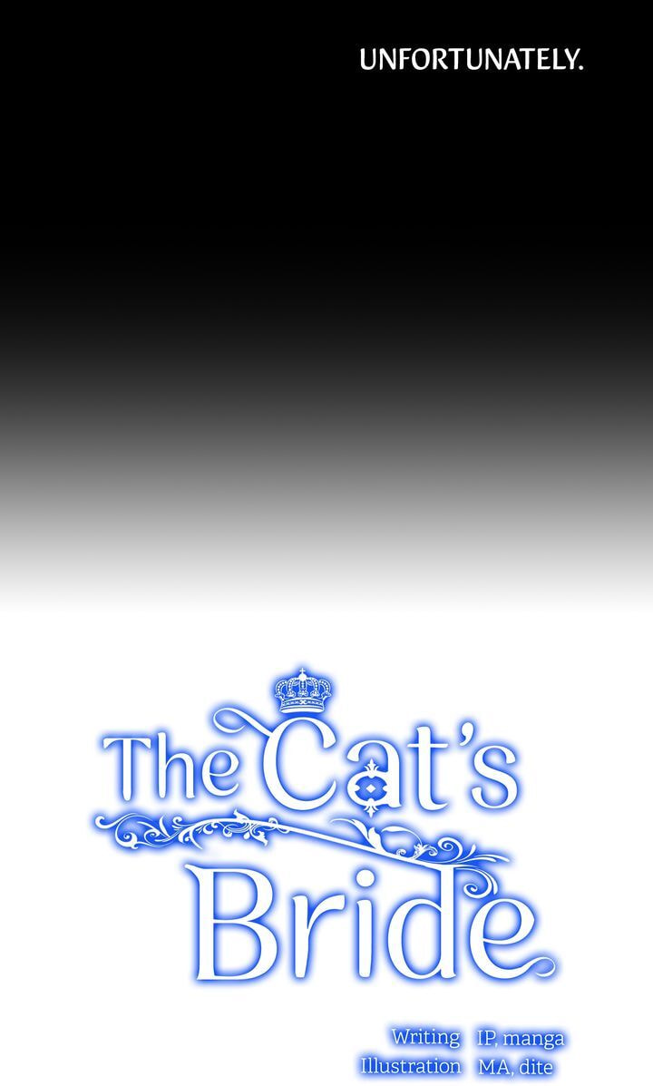 Read Cat