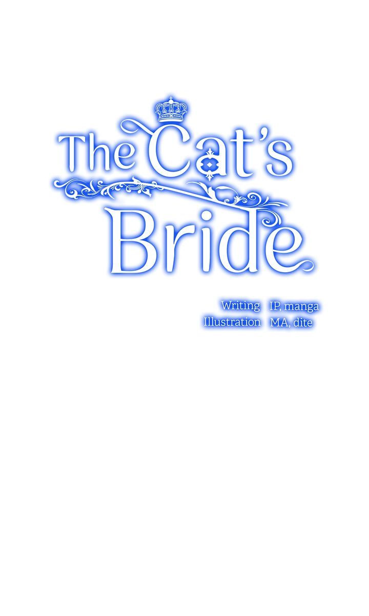 Read Cat
