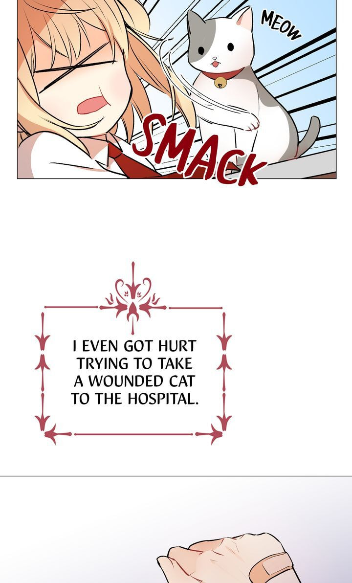 Read Cat