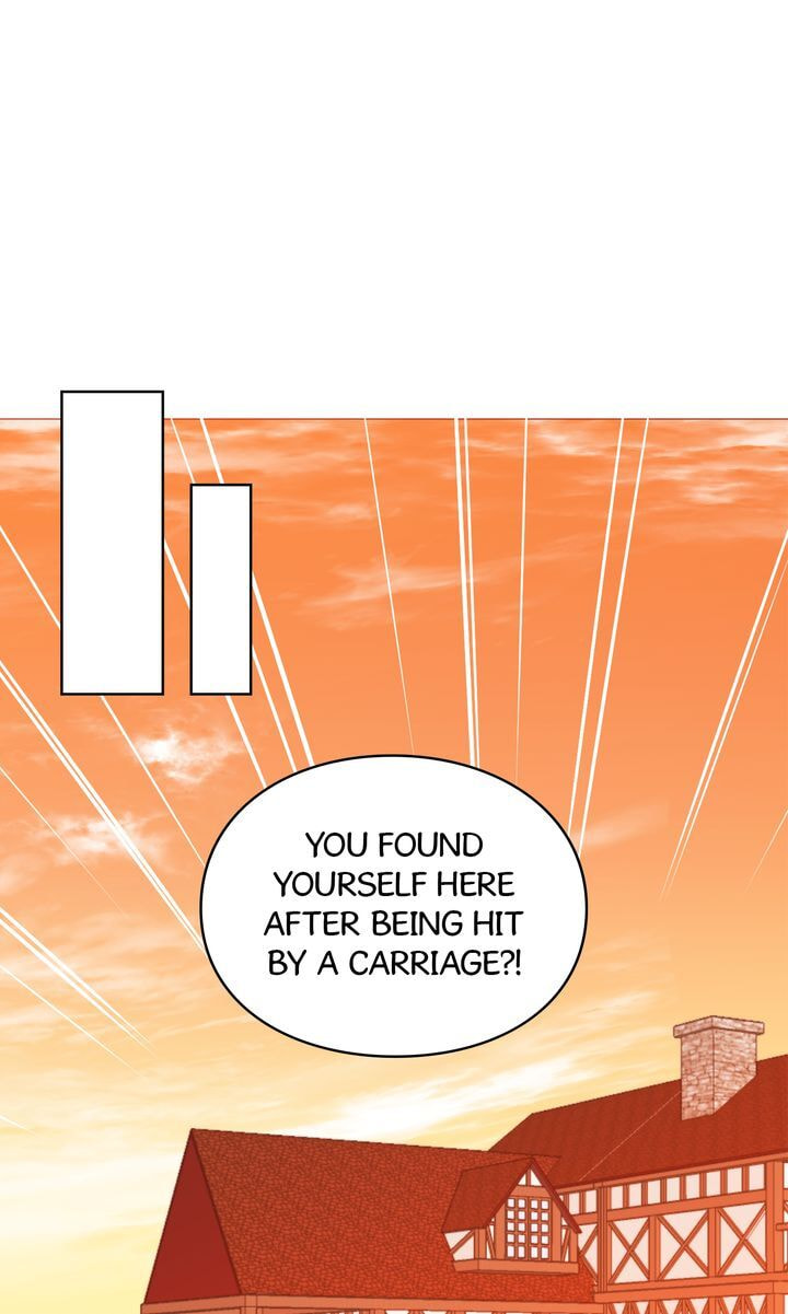 Read Cat
