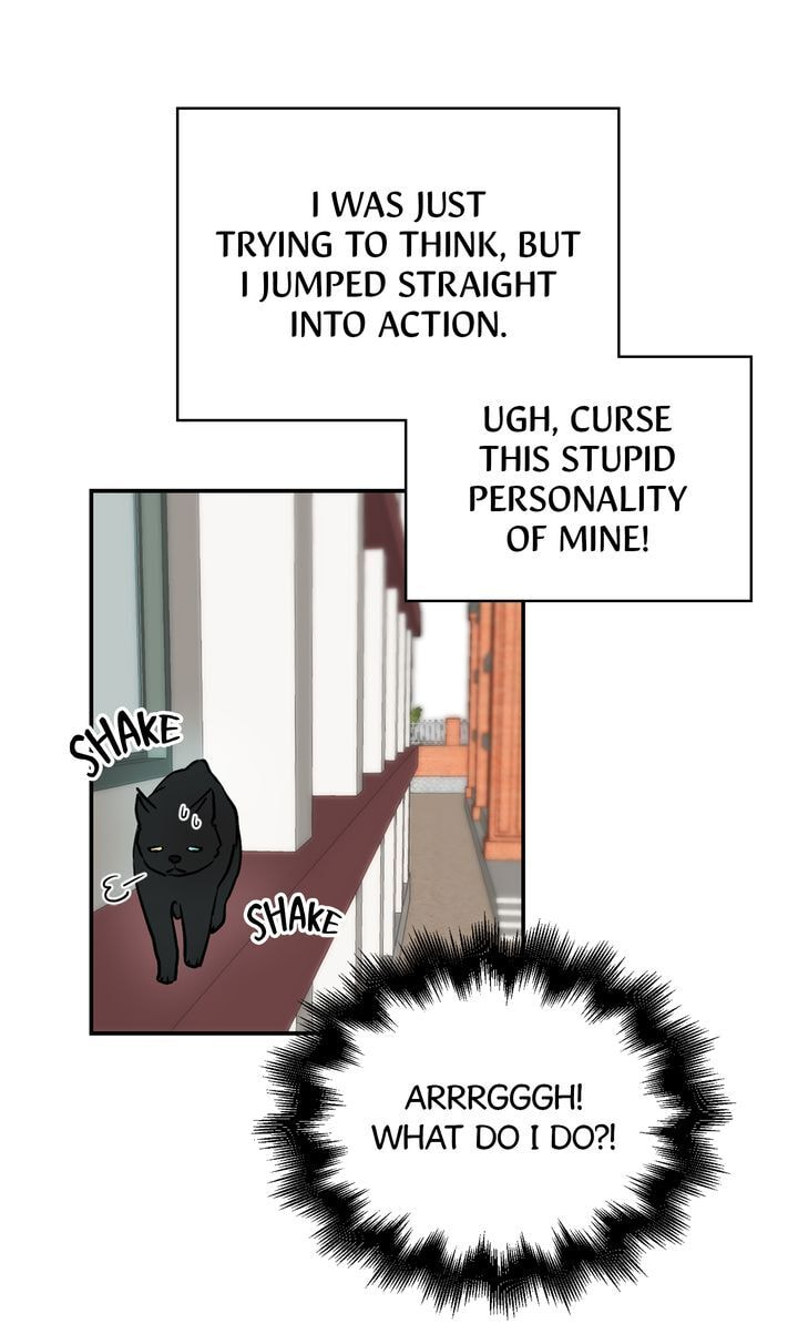 Read Cat
