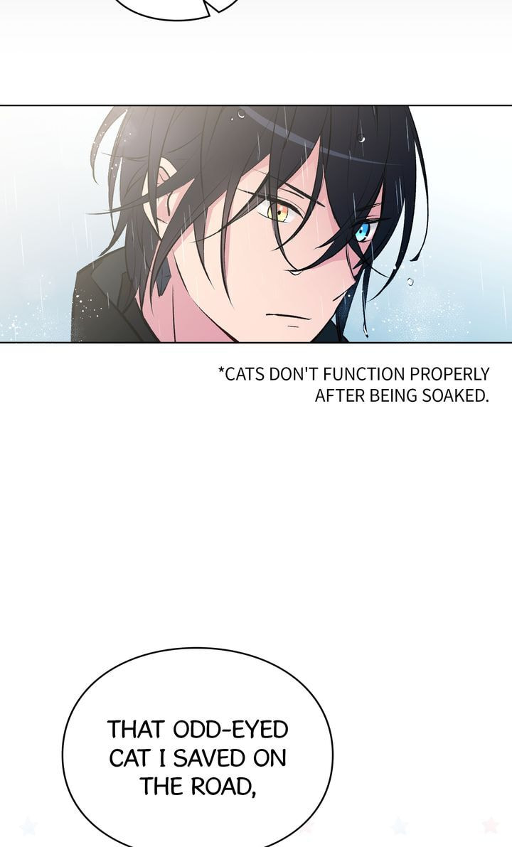 Read Cat