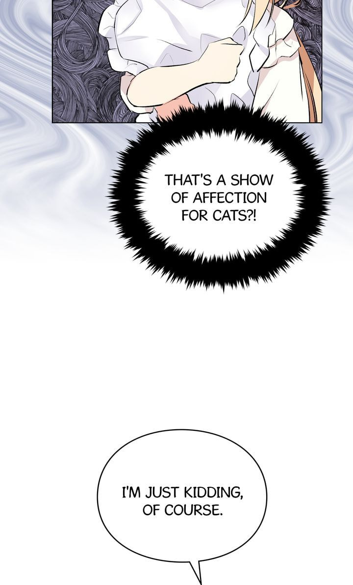 Read Cat
