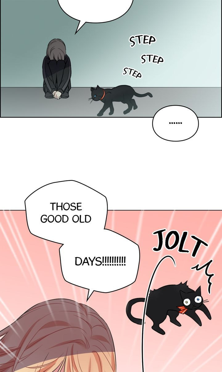 Read Cat