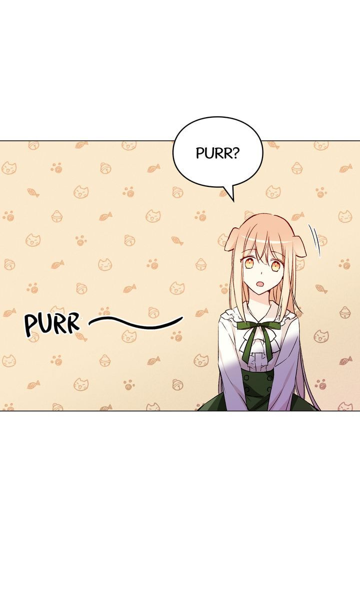 Read Cat