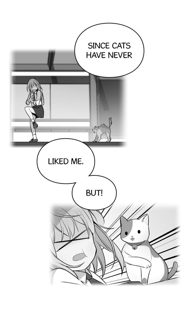 Read Cat