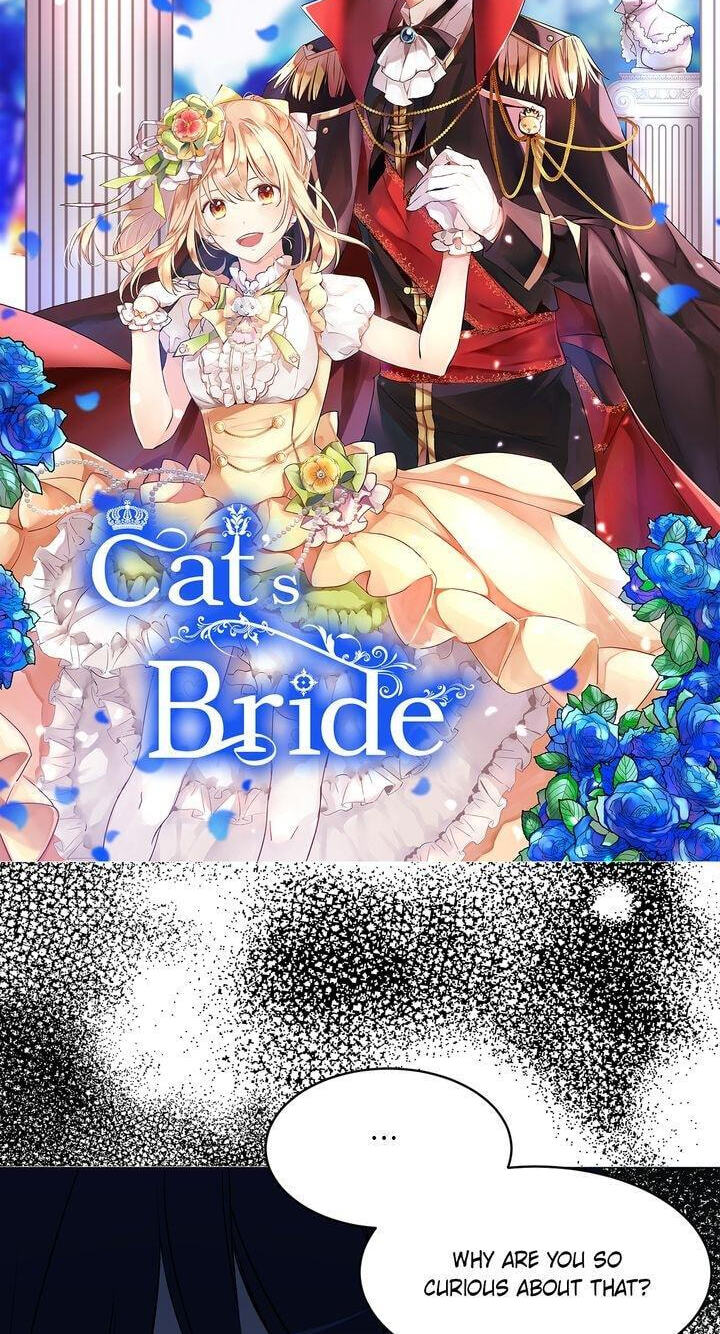 Read Cat
