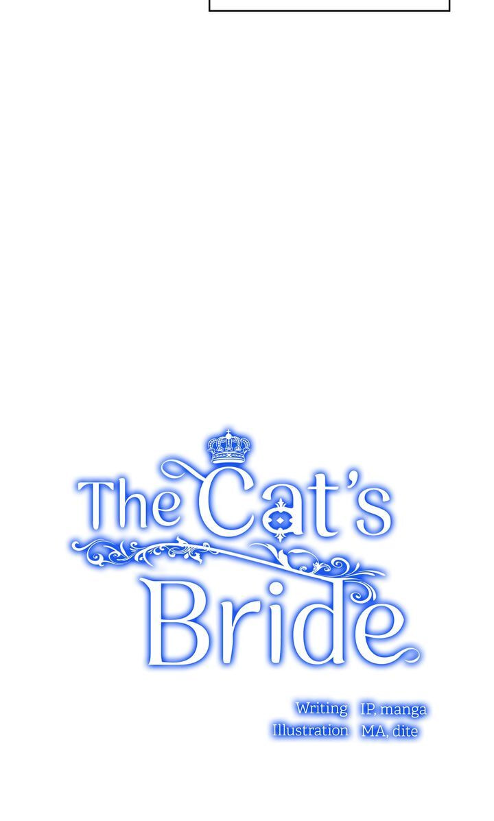 Read Cat