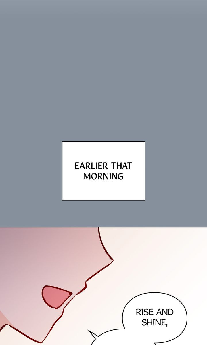 Read Cat