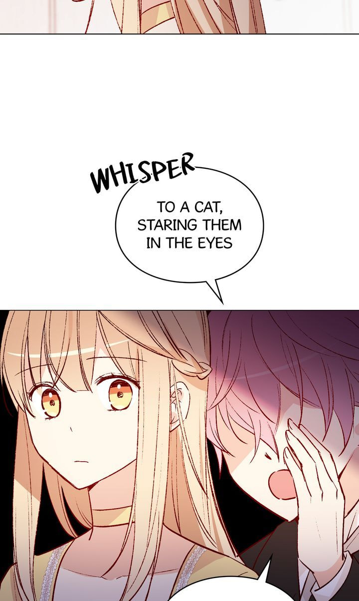 Read Cat