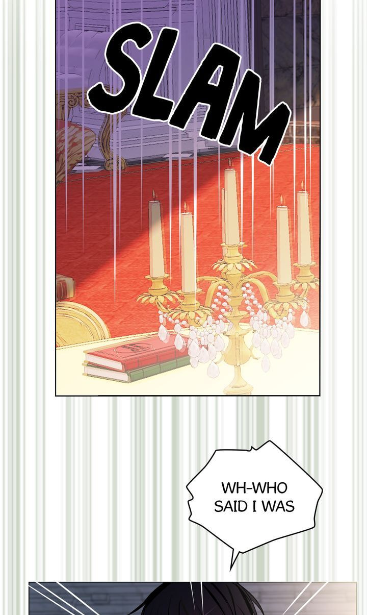Read Cat