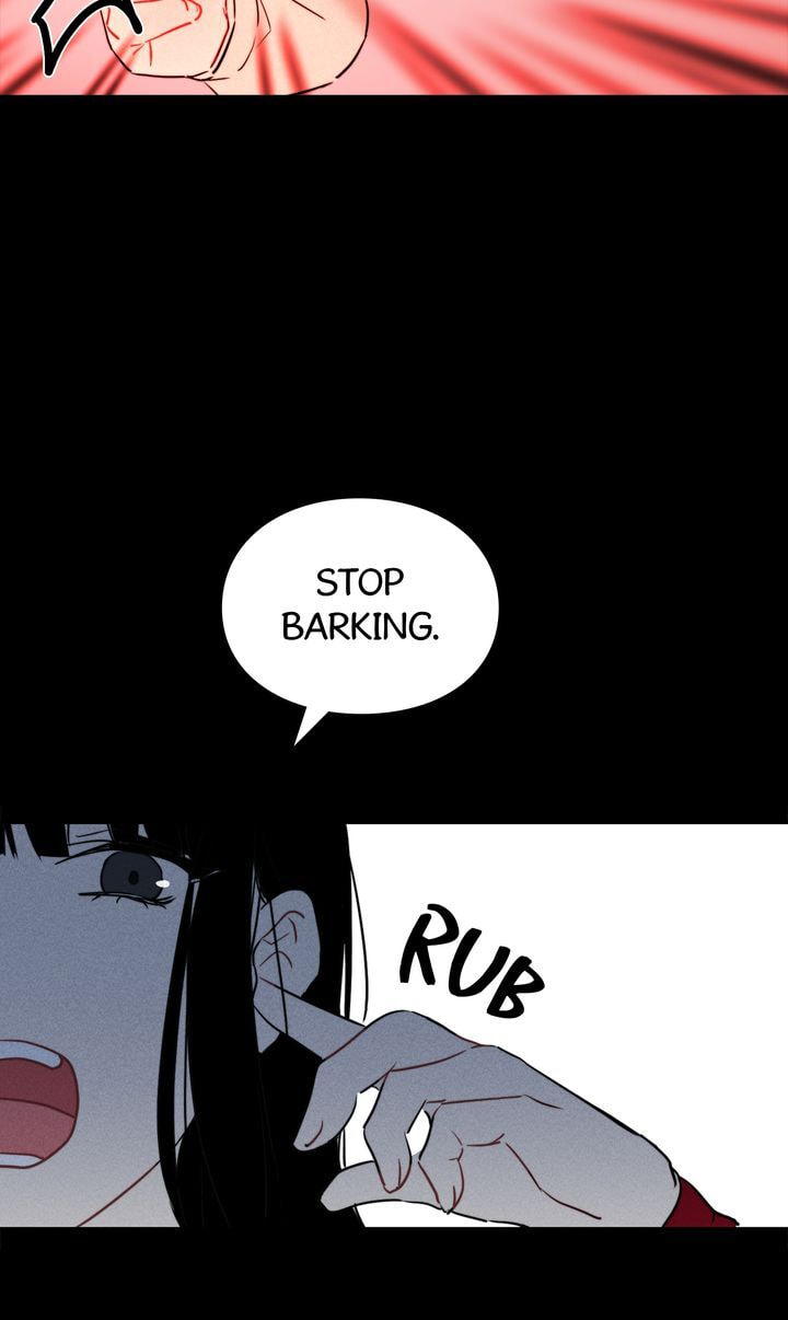 Read Cat