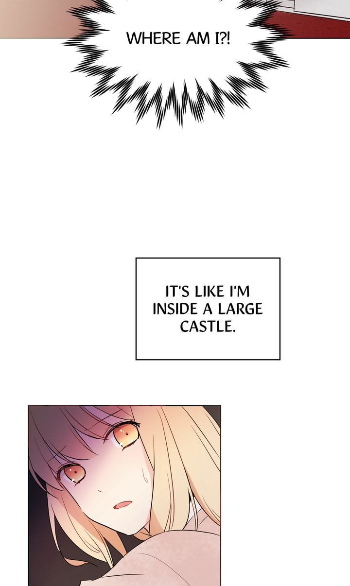 Read Cat