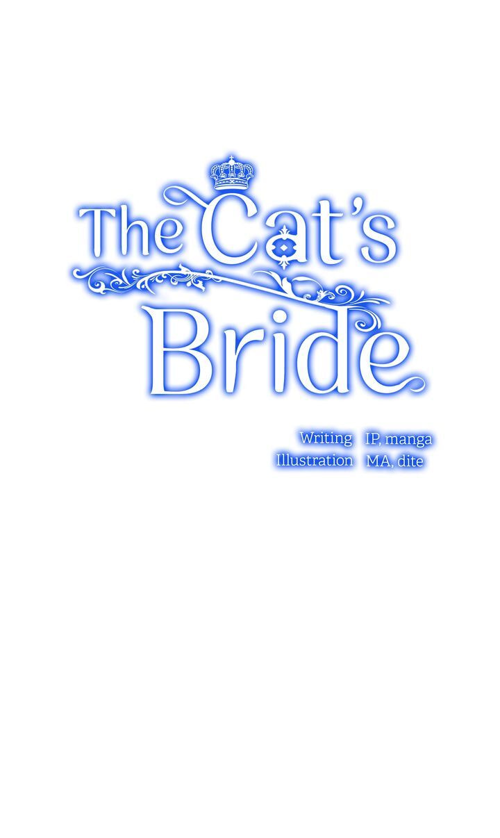 Read Cat
