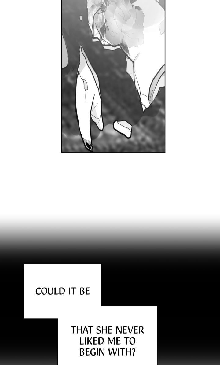 Read Cat