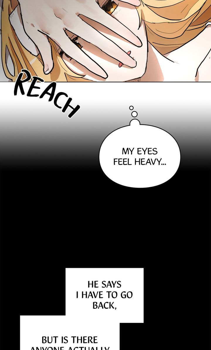 Read Cat