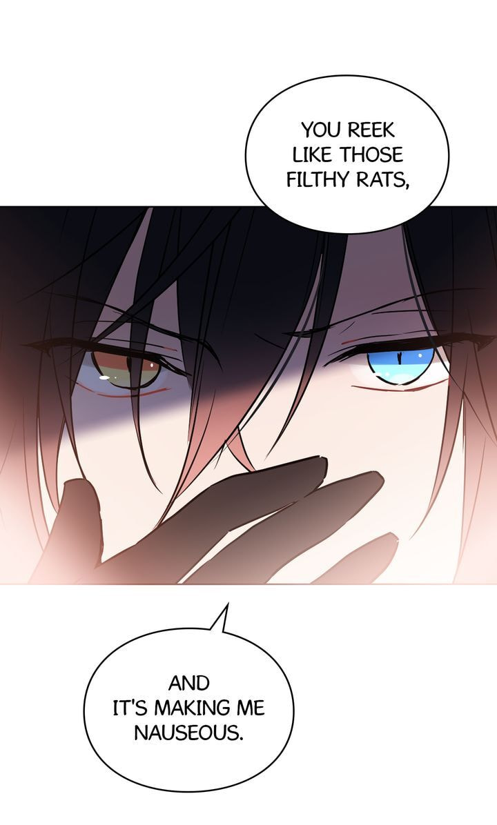 Read Cat