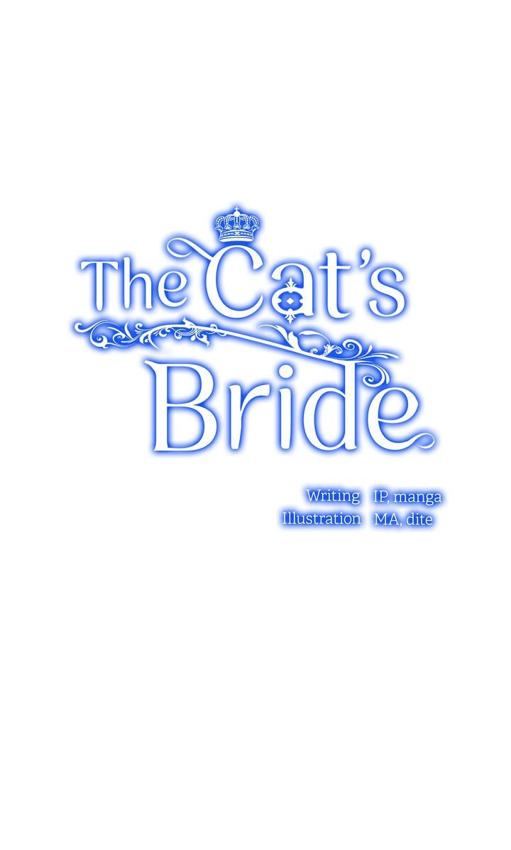Read Cat