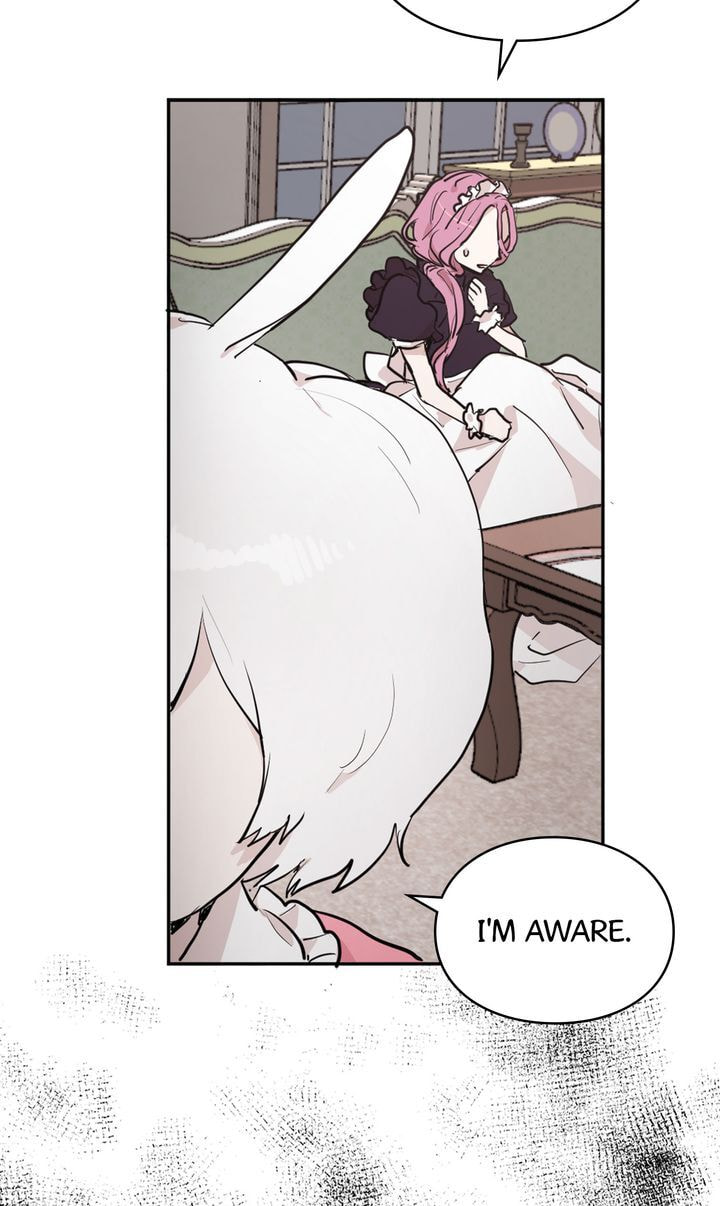 Read Cat