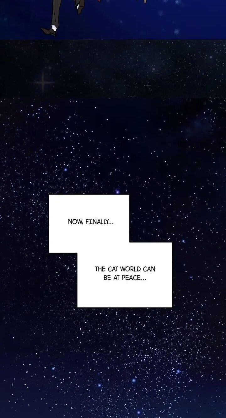 Read Cat