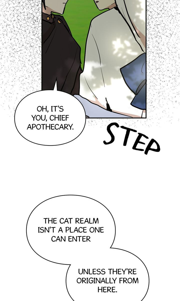 Read Cat