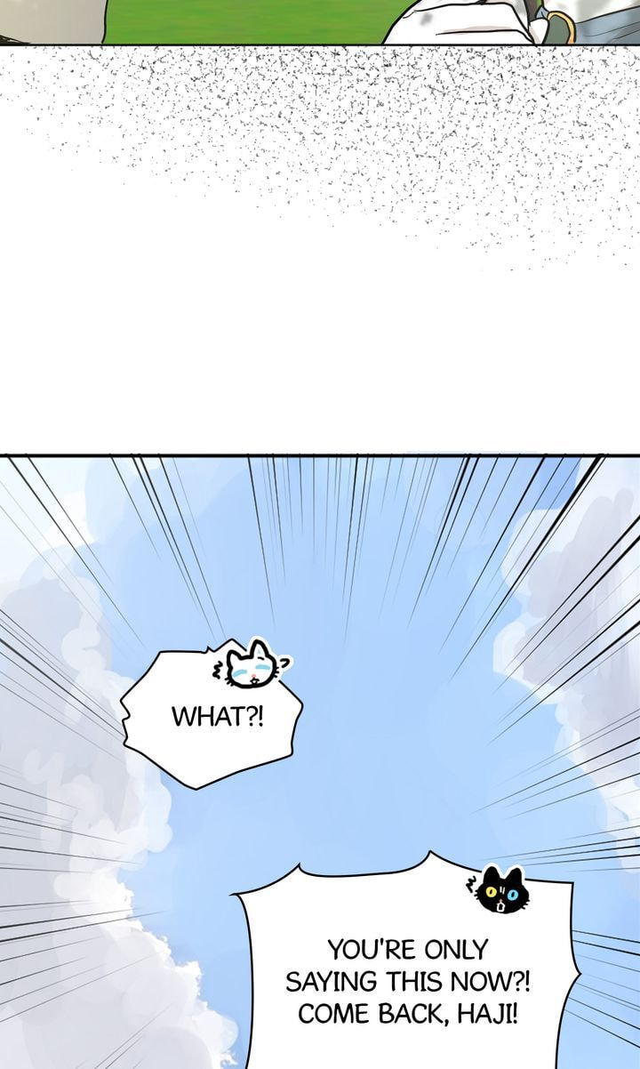 Read Cat