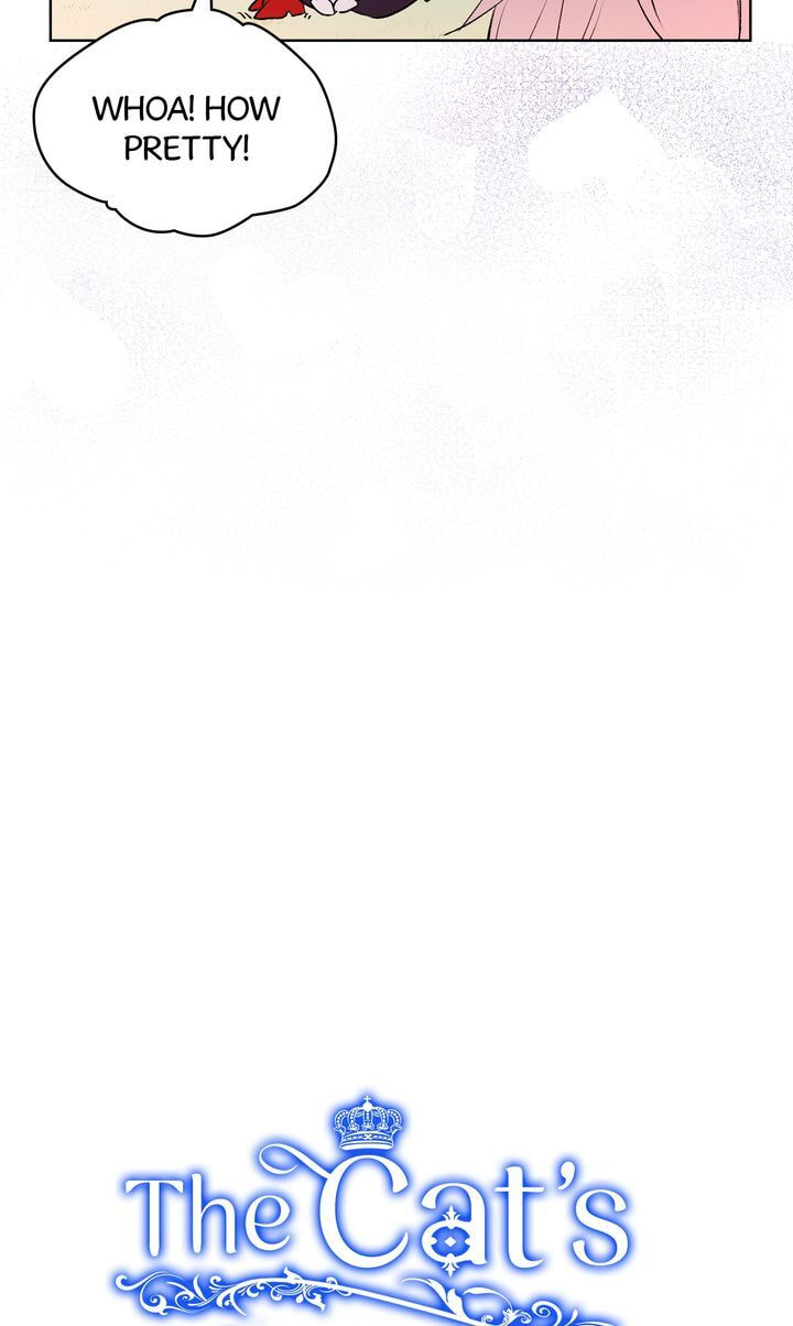 Read Cat
