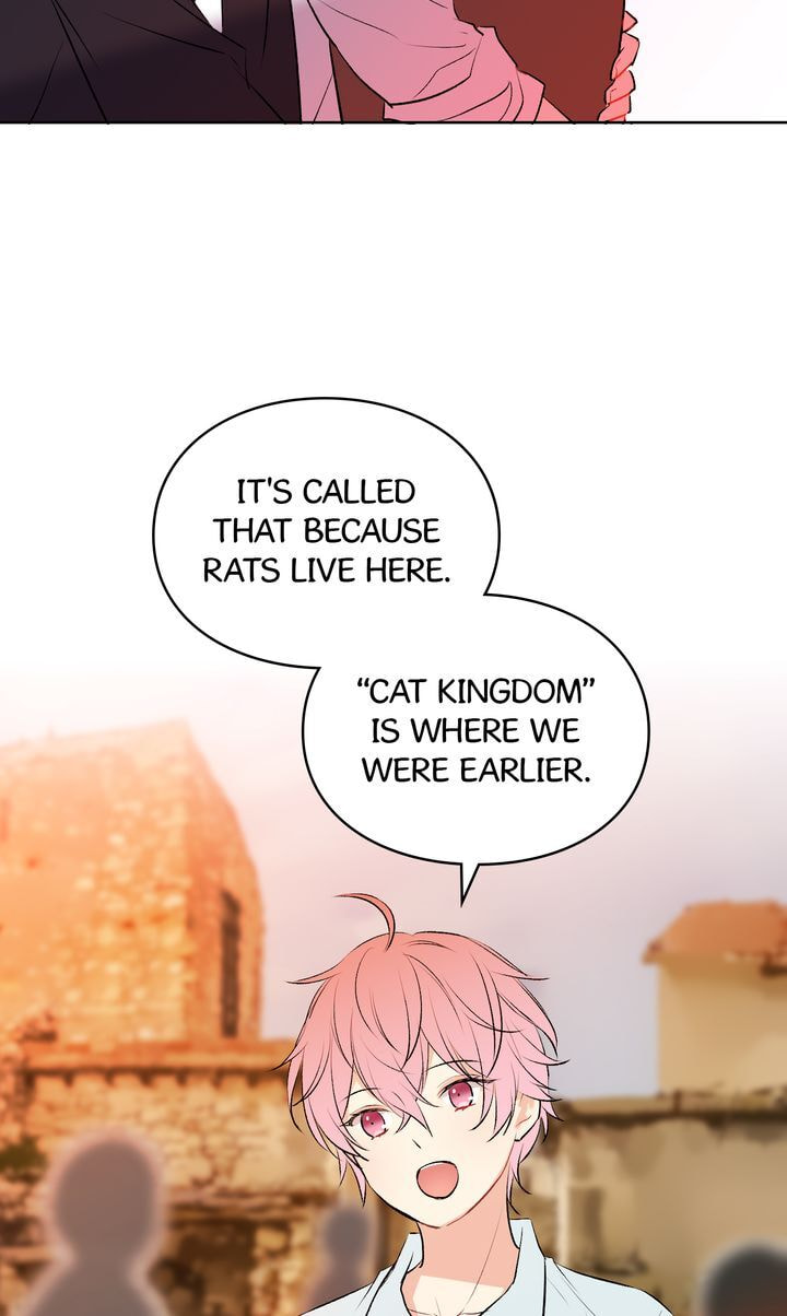 Read Cat