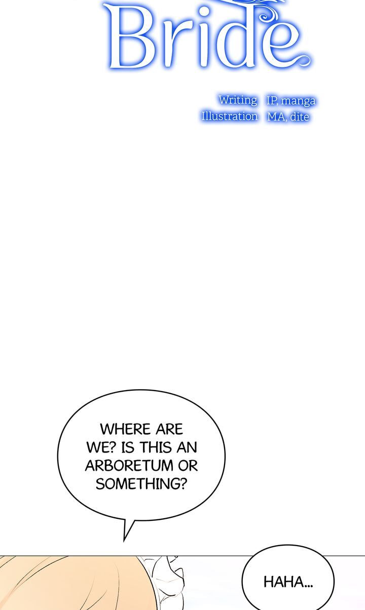 Read Cat