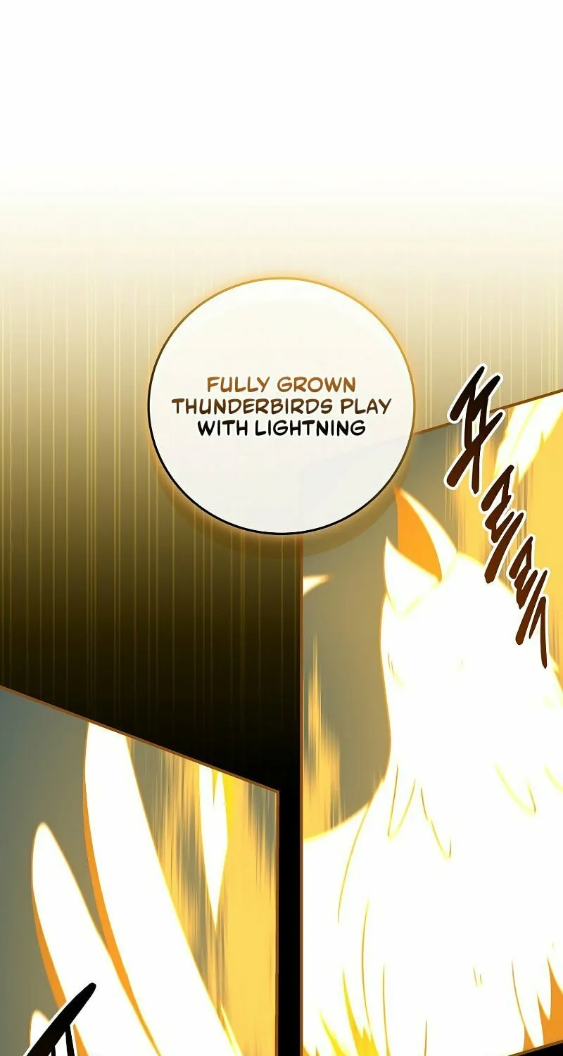 Grand Warlock Streamer Chapter 78 page 19 - 