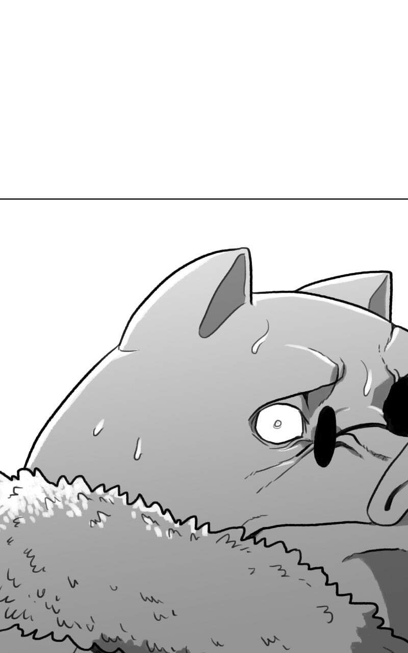Read Graymark chapter 52 image 121 on Lezhin
