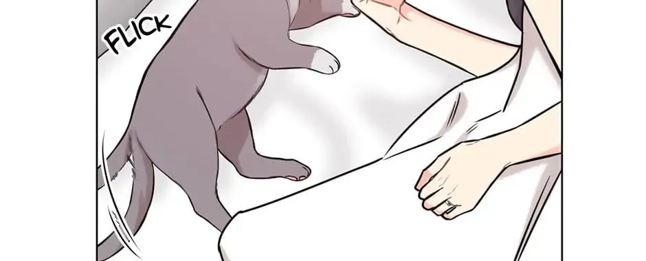 Read Green Light for Romance chapter 56 image 81 on Lezhin