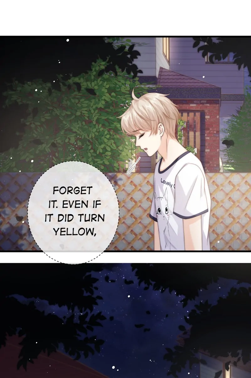 Read Green Plum Island chapter 24 image 16 on Lezhin