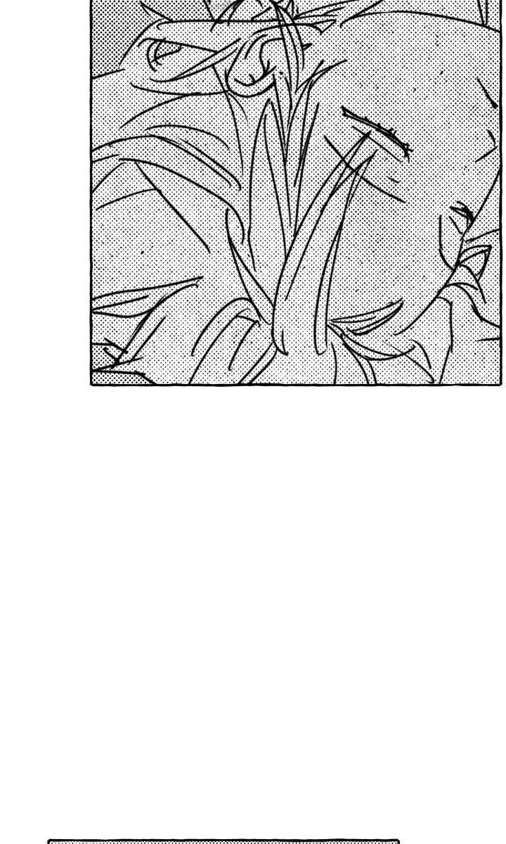 Read Groupie Sweetie chapter 38 image 32 on Lezhin