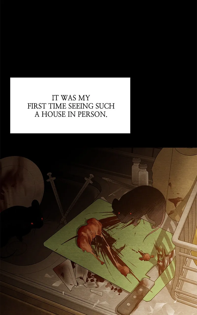 Guardian Girl Chapter 52 page 5 - 