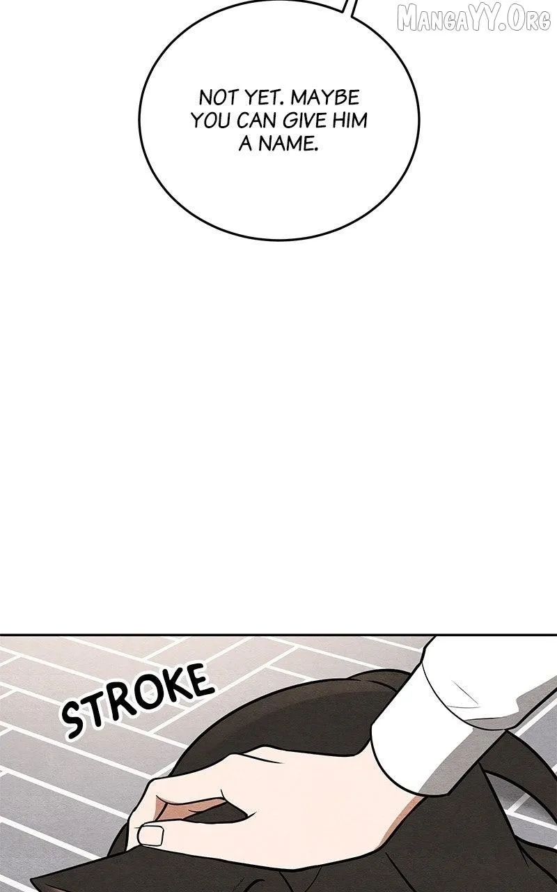 Guardian Girl Chapter 81 page 14 - 
